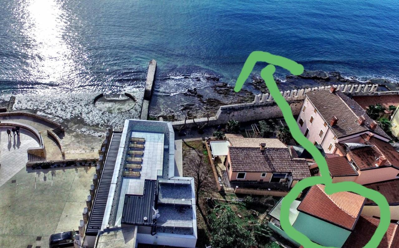 The Green House - 20M From The Beach Novigrad  Zewnętrze zdjęcie