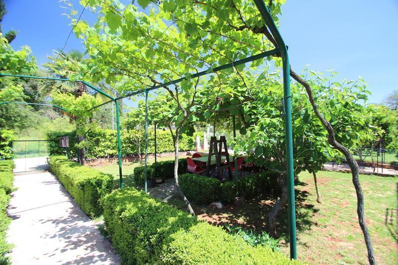 The Green House - 20M From The Beach Novigrad  Pokój zdjęcie