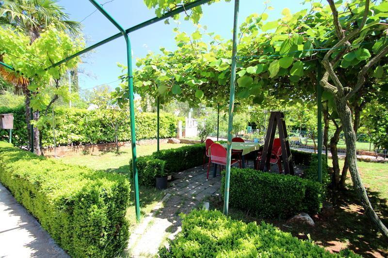 The Green House - 20M From The Beach Novigrad  Pokój zdjęcie
