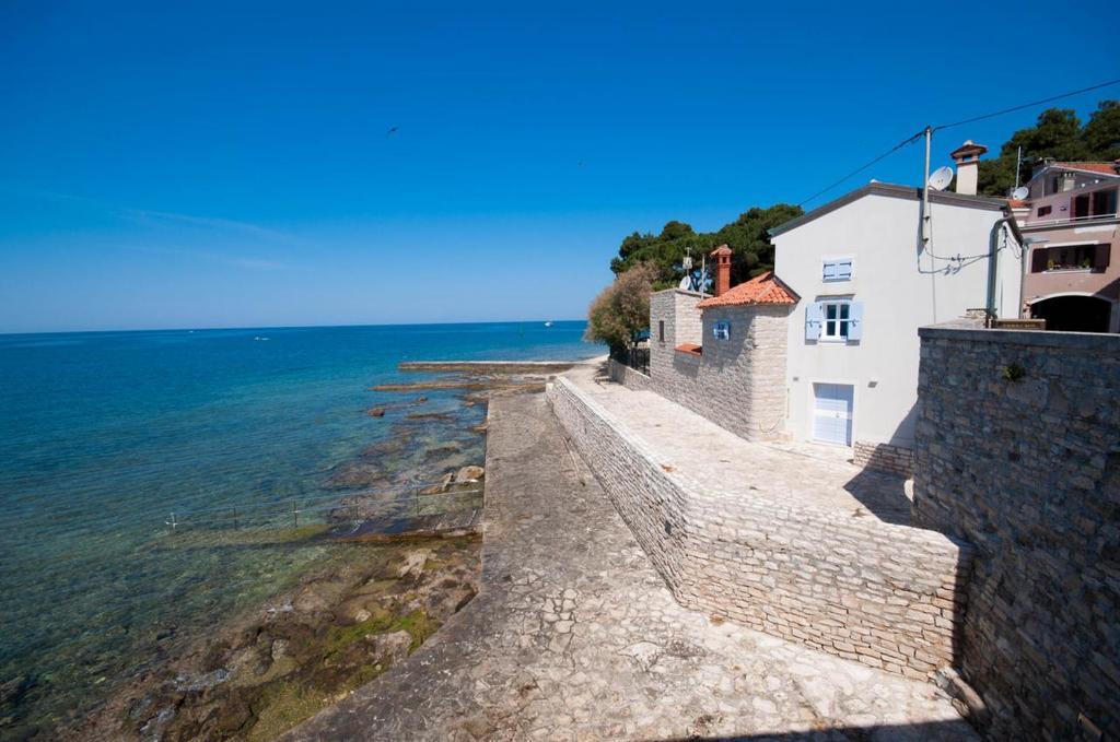 The Green House - 20M From The Beach Novigrad  Zewnętrze zdjęcie